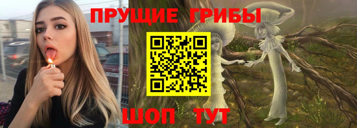 Луховицы  Псилоцибиновые грибы Psilocybe  Вход с VPN 